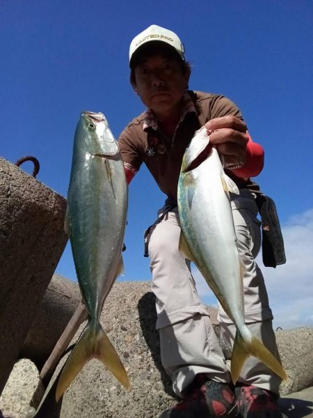 プチsalt water game