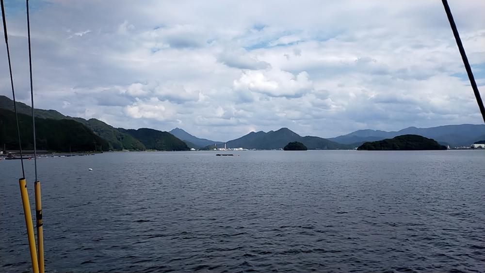 舞鶴でエギング