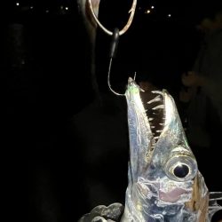 絶叫!と悲鳴!!　久しぶりよ～・・もっときてぇ～～