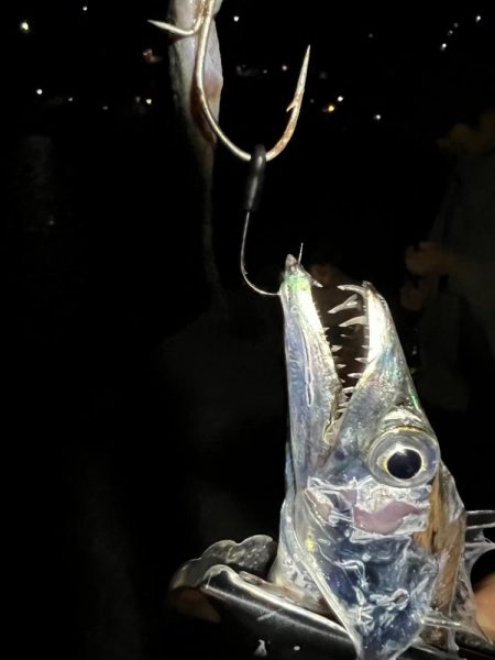 絶叫!と悲鳴!!　久しぶりよ～・・もっとき…