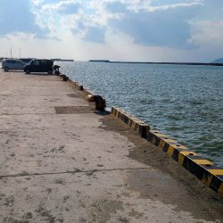 和歌山日高港でアジ釣りと紀州釣り