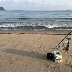 まだまだキスは釣れてます