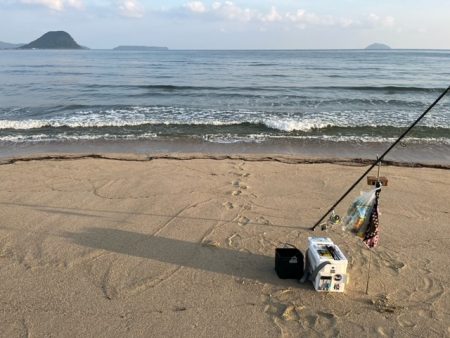 まだまだキスは釣れてます