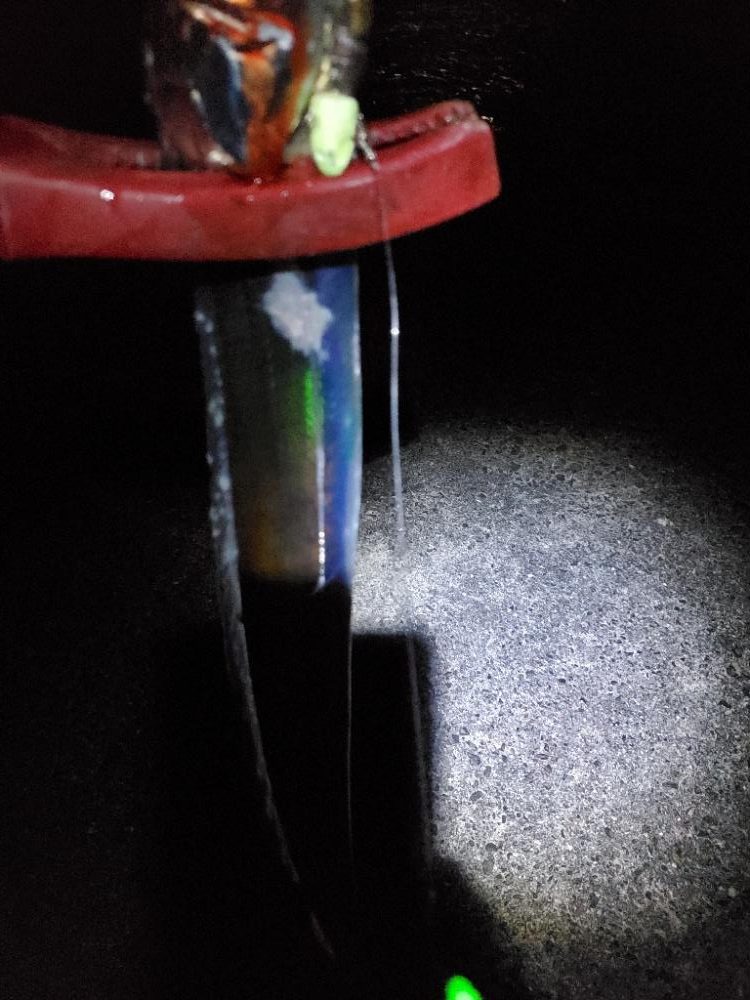 夕マズメ、短時間のタチウオ狙い