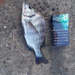 東舞鶴港前島埠頭