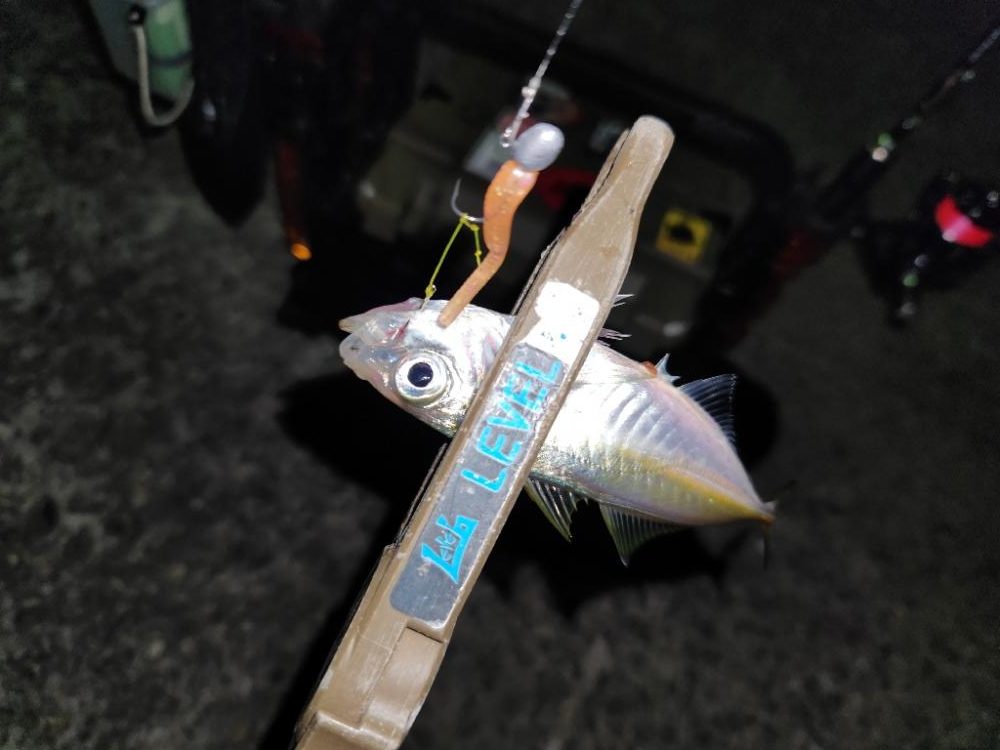 やっぱ、ホームでしょ