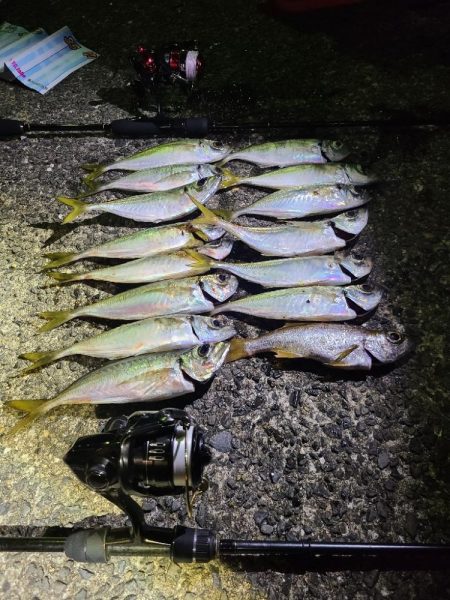 潮が動くと釣れるのね〰&#x…