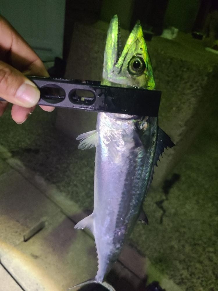 イベントアジング参加２日目