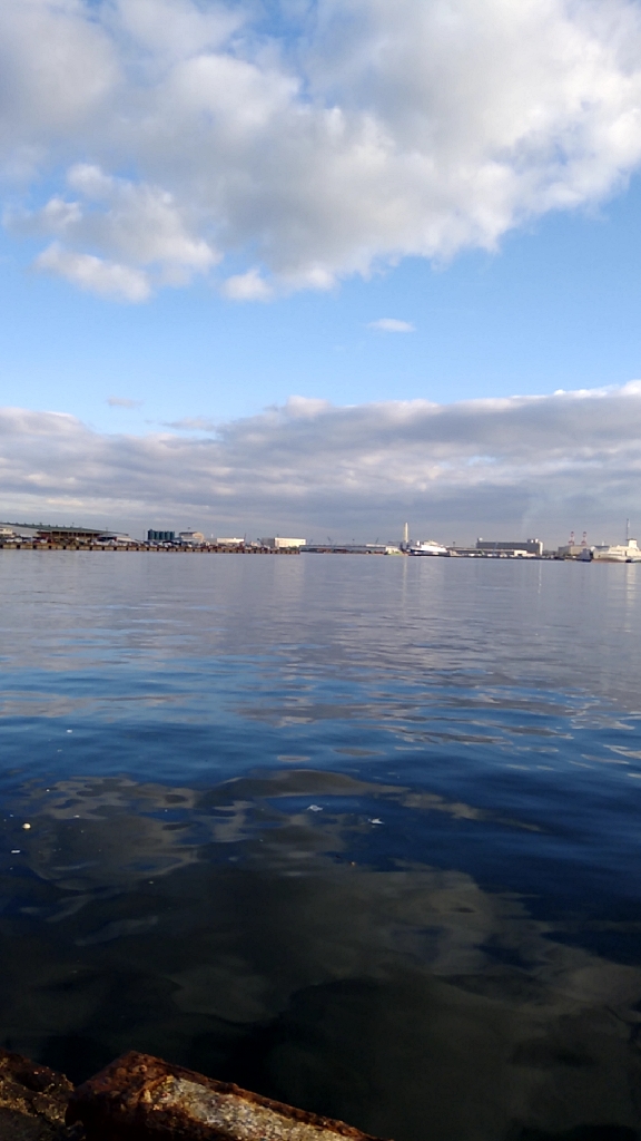 釣れるものを確実に釣る