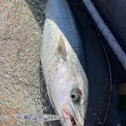 古江湾レンタルボートにて