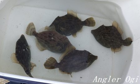 爆風で根掛かりとの闘い