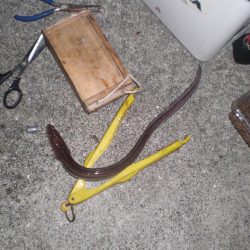 久しぶりの徹夜釣り