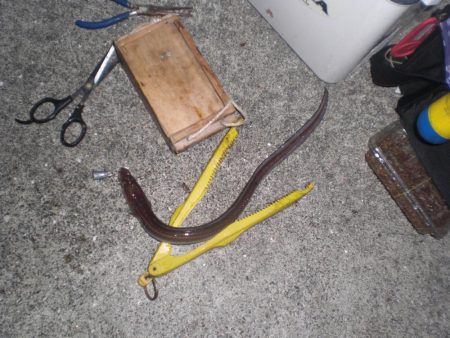 久しぶりの徹夜釣り