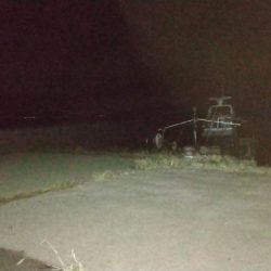 今季初メッキ！