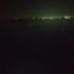 今季初メバル☆