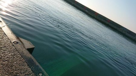 コブダイエ釣り