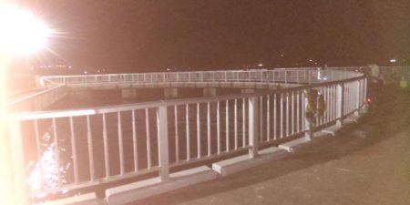 アジ大漁 珍しいゲストも