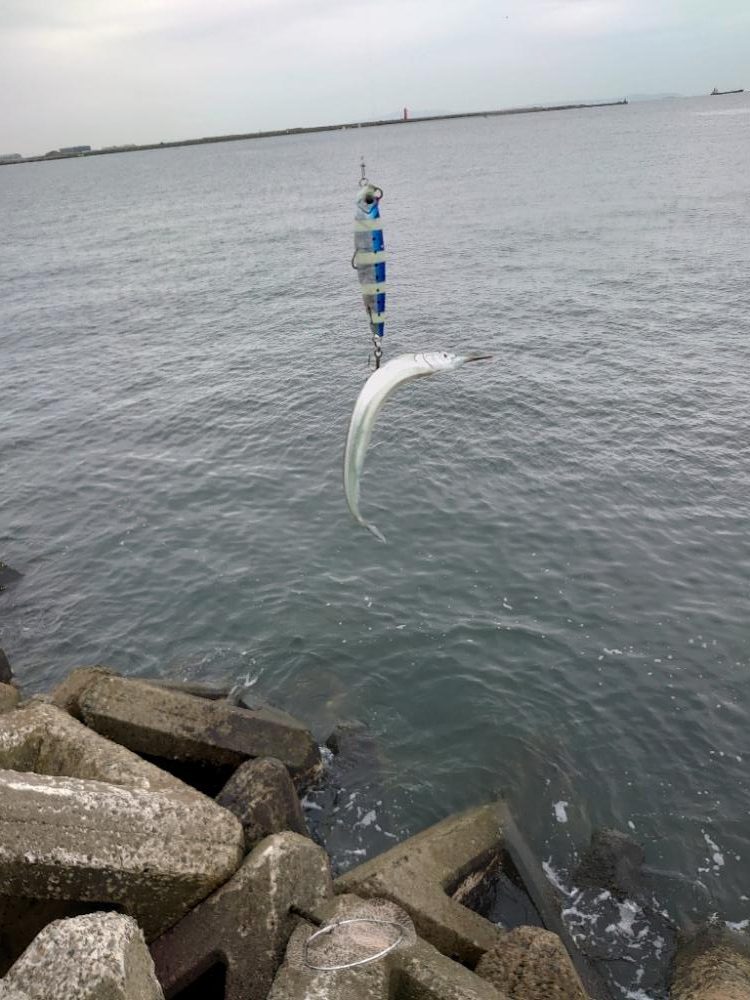 ショアジギング