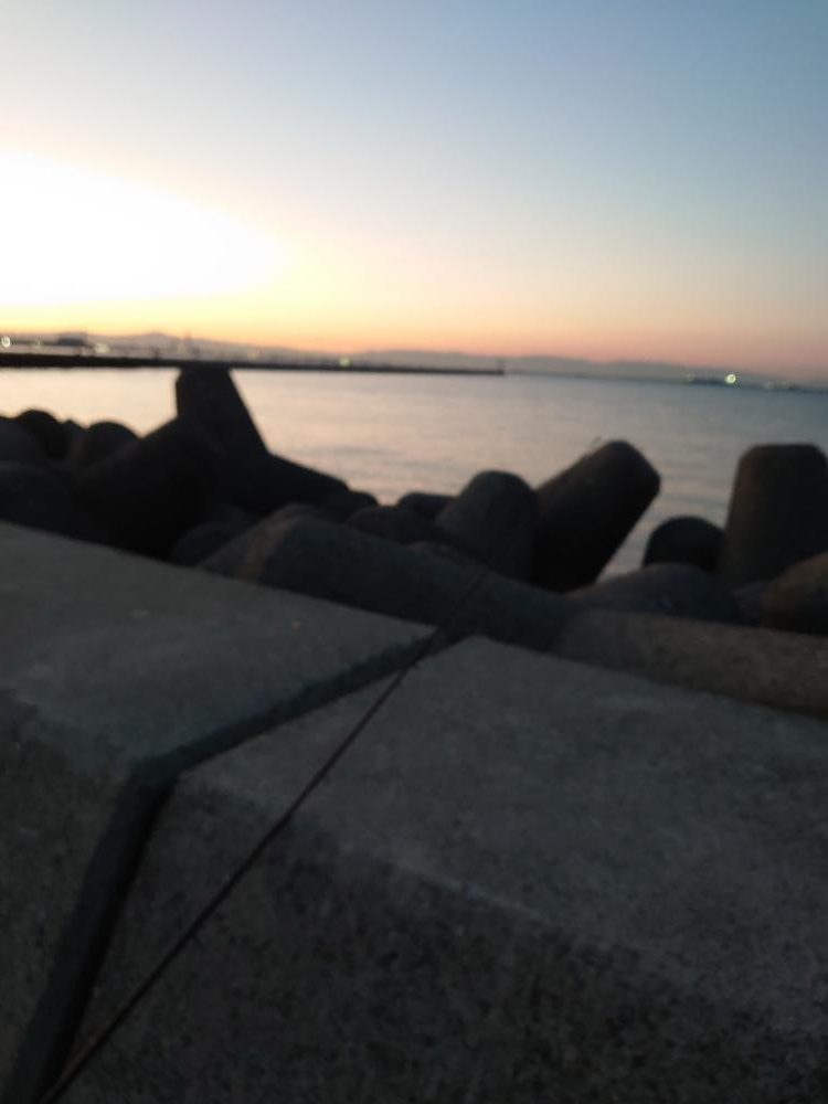 久しぶりのメジロ