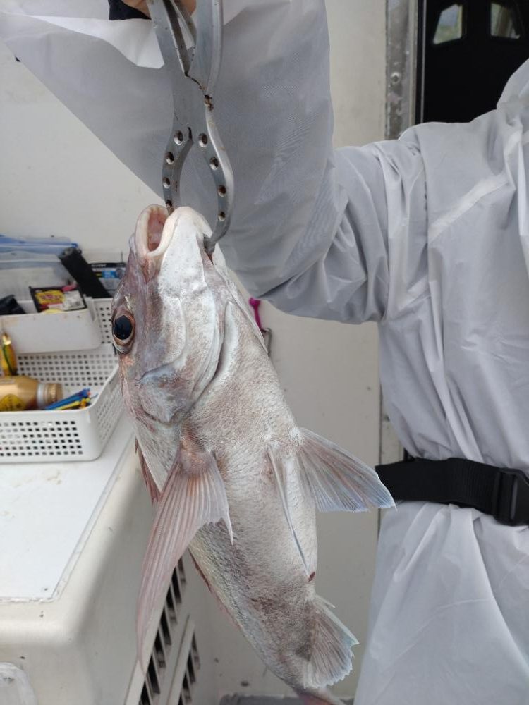 今季初のライトジギング!