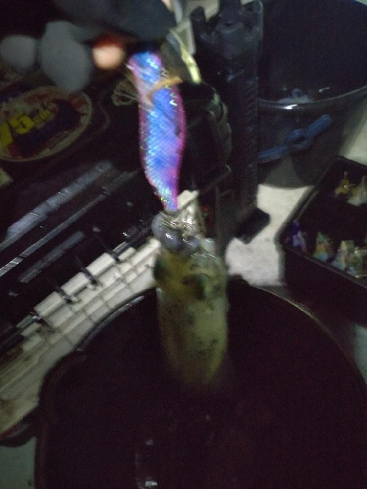 不調からの脱出の兆し