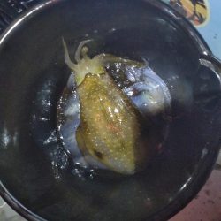 不調からの脱却！のティップラン