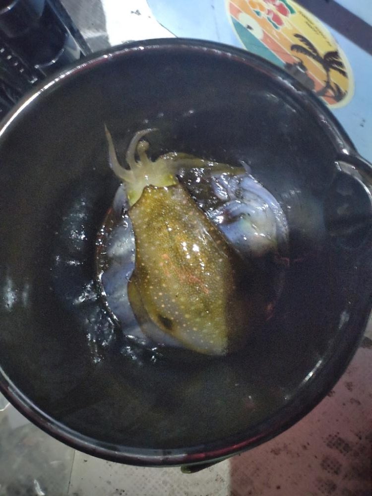 不調からの脱却！のティップラン