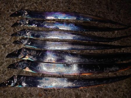 またまたタチウオテンヤ🎣