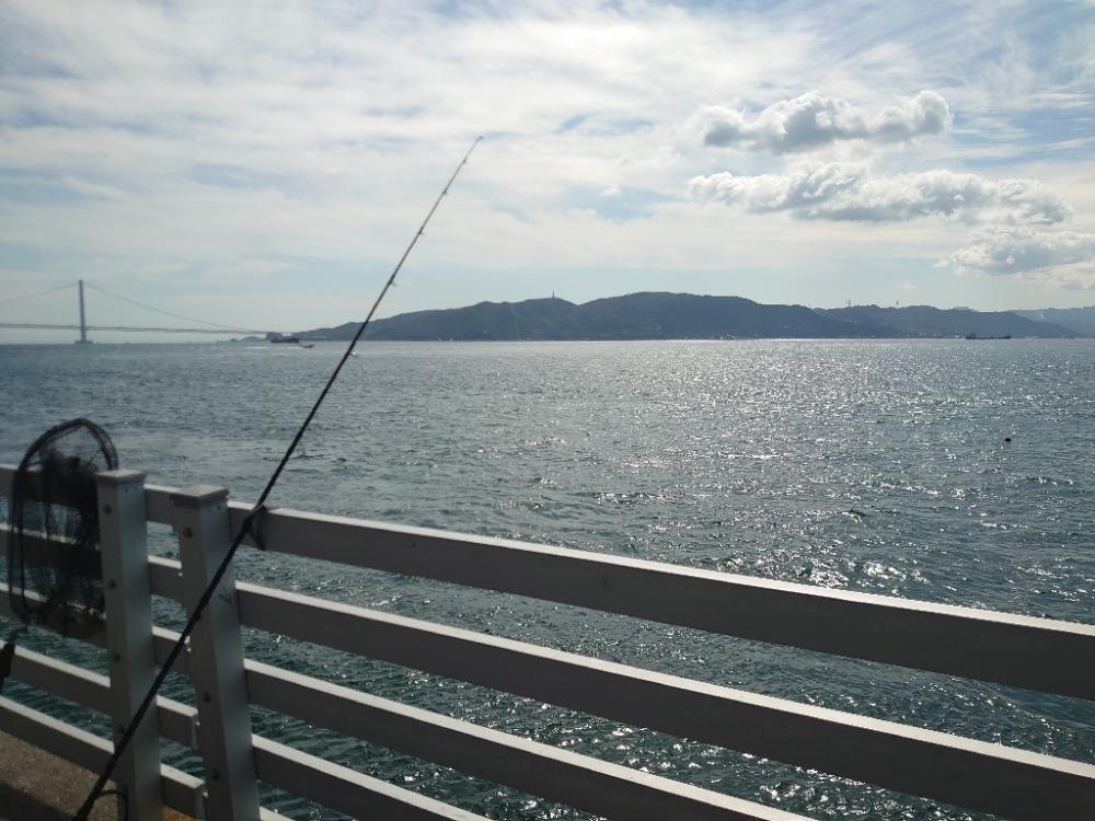 青物狙いのノマセ釣り🎣