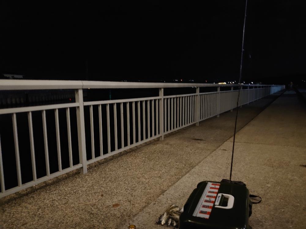 アジング釣行🎣