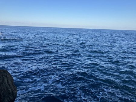 久しぶりの釣果