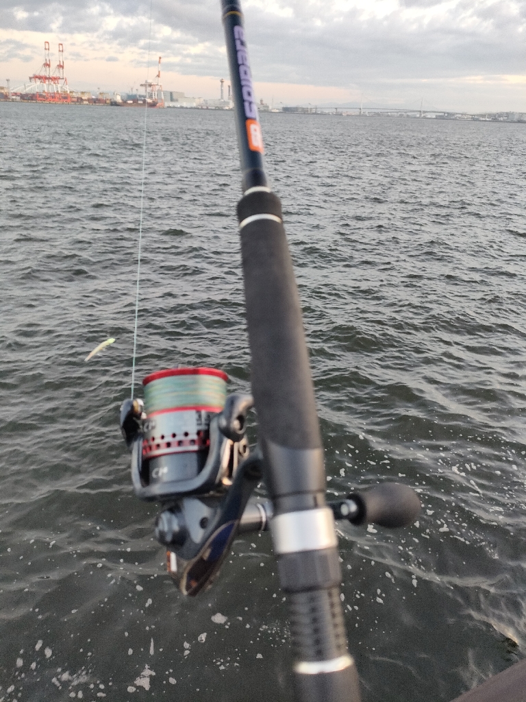 タチウオ釣果もサバのみ