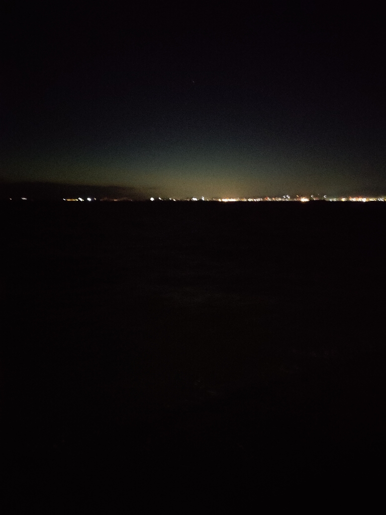 サゴシ&タチウオ