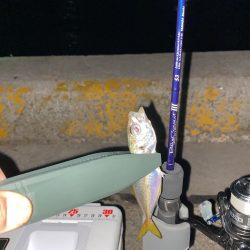 ブルカレⅢ53でアジング