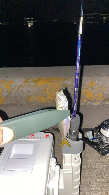 ブルカレⅢ53でアジング