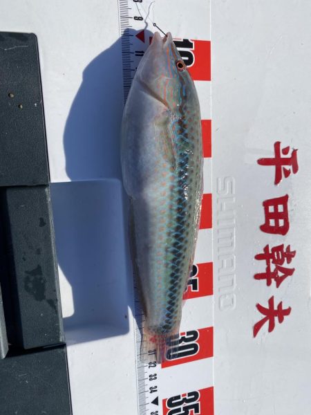 リベンジと入魂