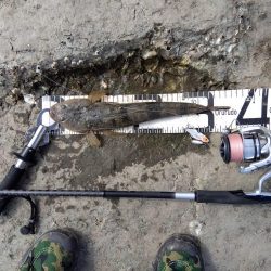 久々の念願フラット…