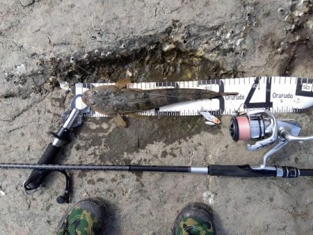 久々の念願フラット…