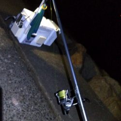 苅屋海岸のキス釣り