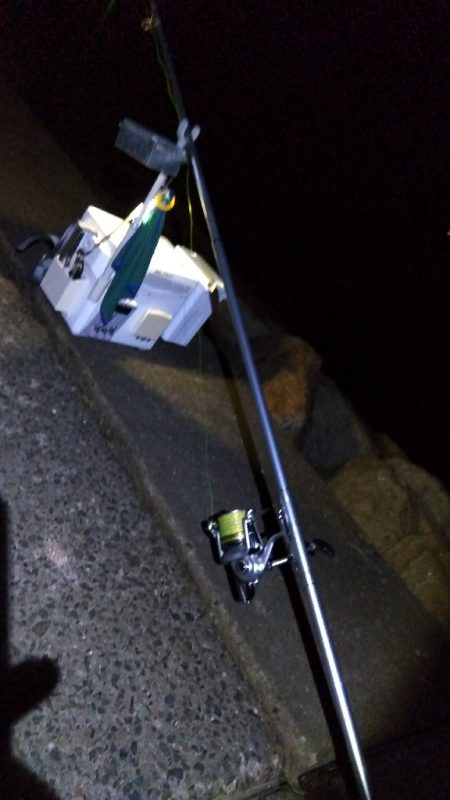 苅屋海岸のキス釣り