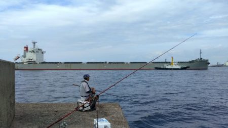 潮が動けど時合無し