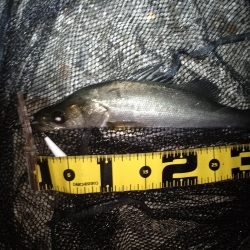 好調だったが…