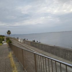 貝塚人工島 青物はお休みのようです。