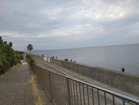 貝塚人工島 青物はお休みのようです。