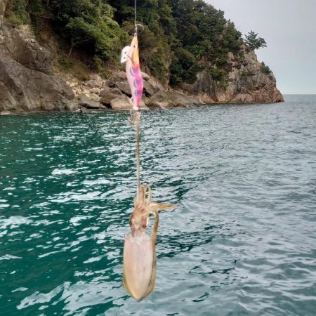 今年初のボートエギング