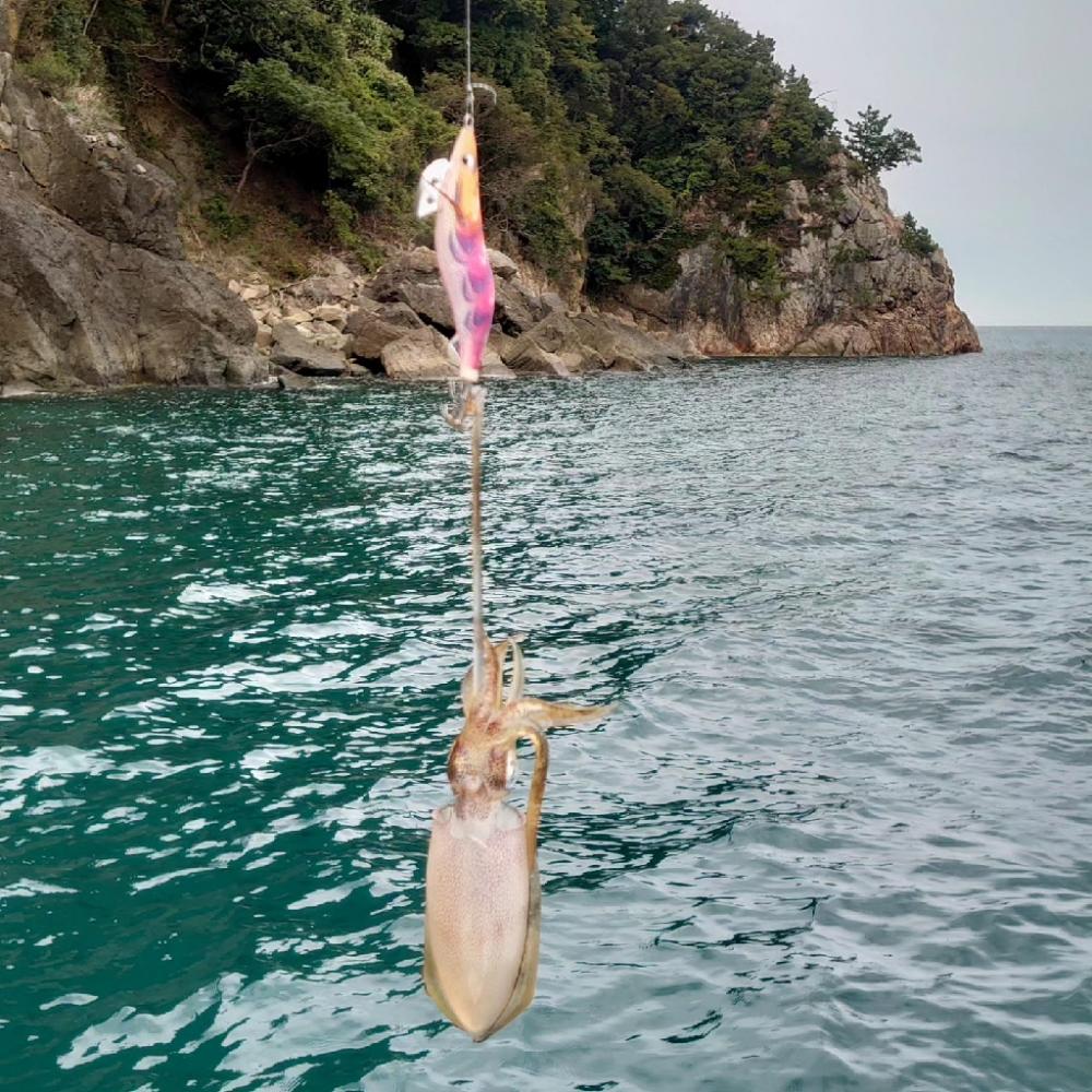 今年初のボートエギング
