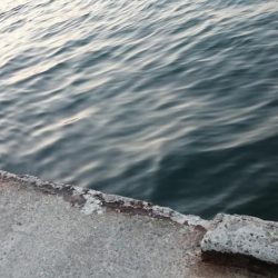 渋い、、、一方釣れたら良型。