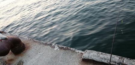 渋い、、、一方釣れたら良型。