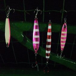 今日は全体的に渋め