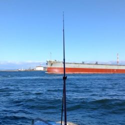 久々の播磨新島釣行